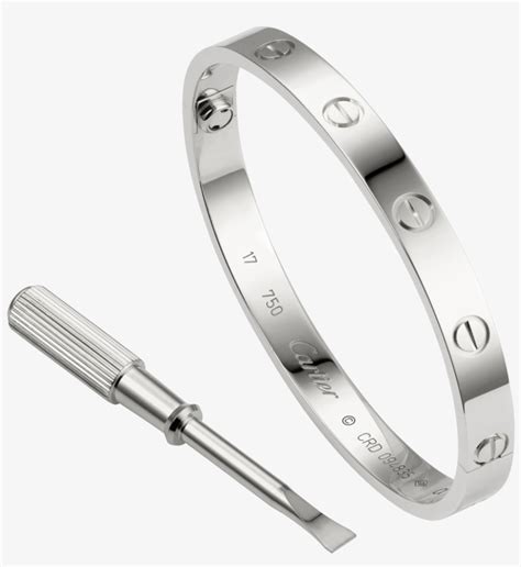 mens silver cartier bangle|cartier love bangle men.